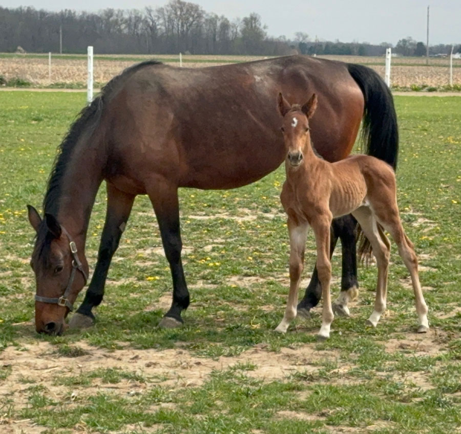 TimeSavers Courier Service - From Delivery To New Life: A Full-Circle Moment